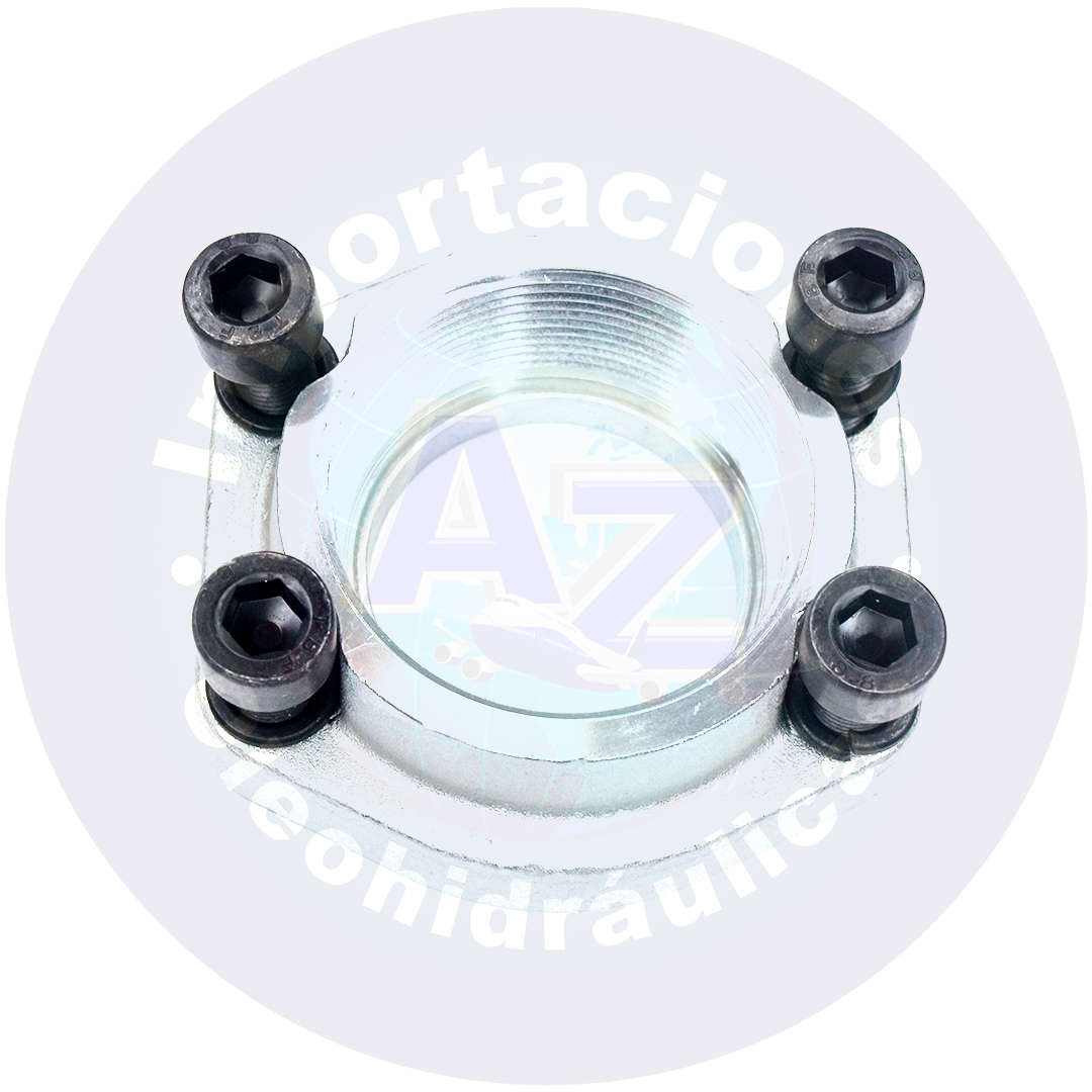 (BFX-308-N) BRIDA DE 3" NPT (INCLUYE TORNILLOS Y ORING) - COD: 009139