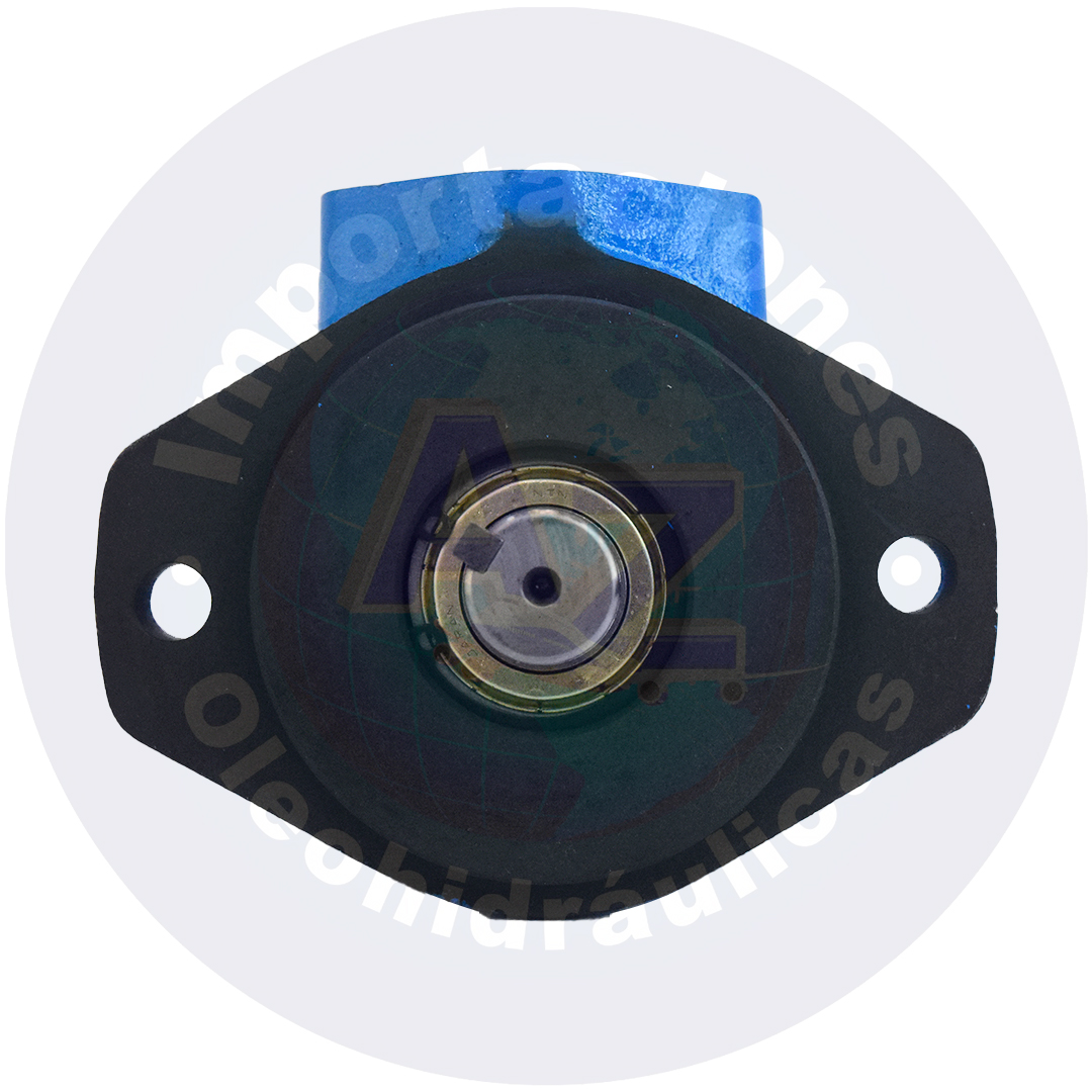 BOMBA 2GPM EJE RECTO DE 3/4 SUC 1"NPT DESC DE 1/2" REF: V10-1P-2P-1 COD:0000056 - Imagen 4