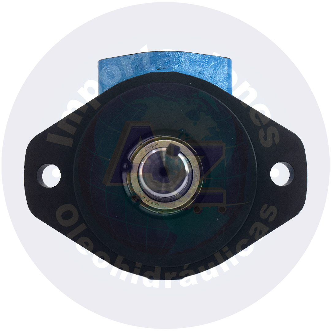 BOMBA 5GPM EJE RECTO DE 3/4 SUC 1"NPT DESC DE 1/2" REF: V10-1P-5P-1 COD:0000059 - Imagen 4