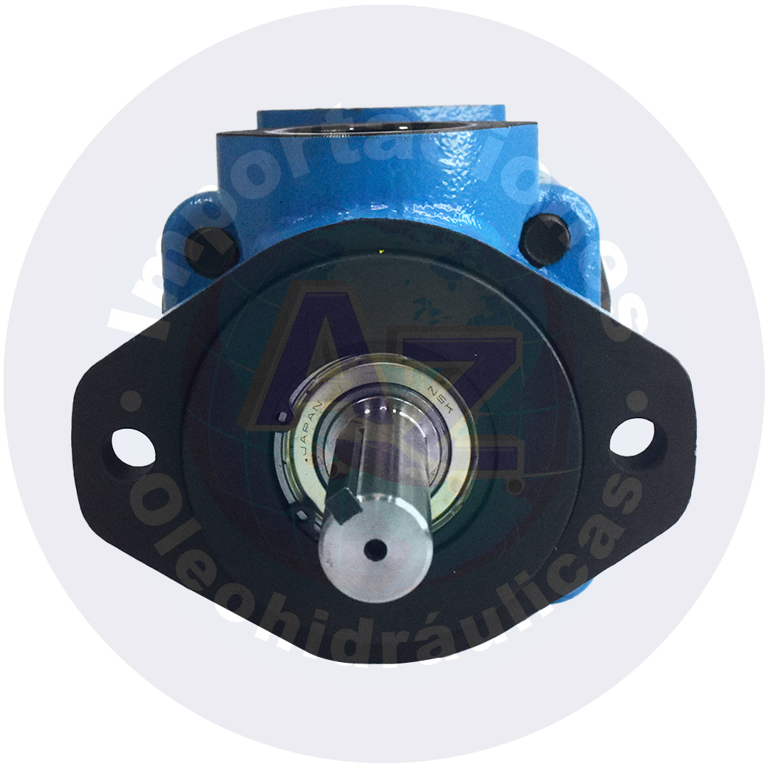 BOMBA 6GPM EJE RECTO DE 3/4 SUC 1 1/4"NPT DESC DE 3/4" REF: V20-1P-6P-1 COD:0000062 - Imagen 4