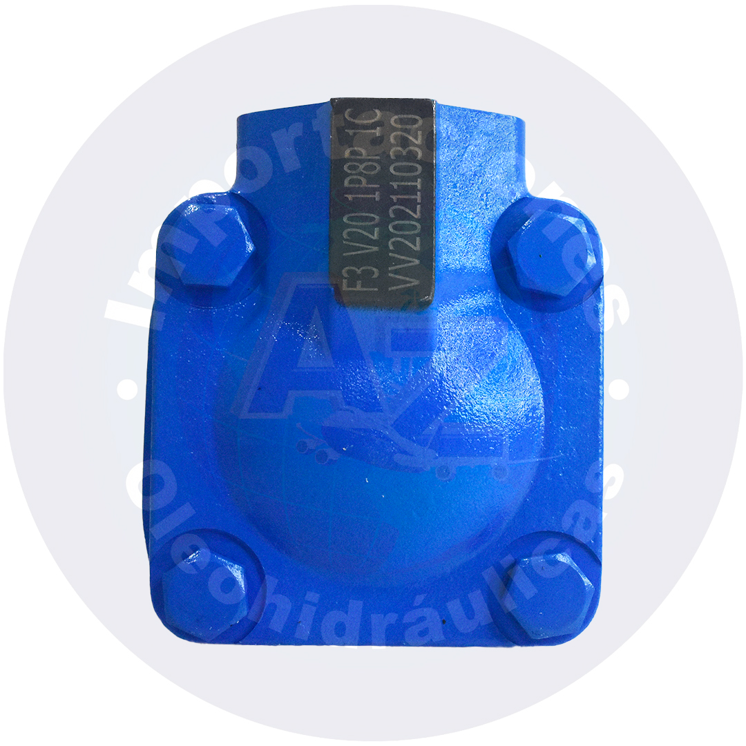 BOMBA 8GPM EJE RECTO DE 3/4 SUC 1 1/4"NPT DESC DE 3/4" REF: V20-1P-8P-1 COD:0000064 - Imagen 3