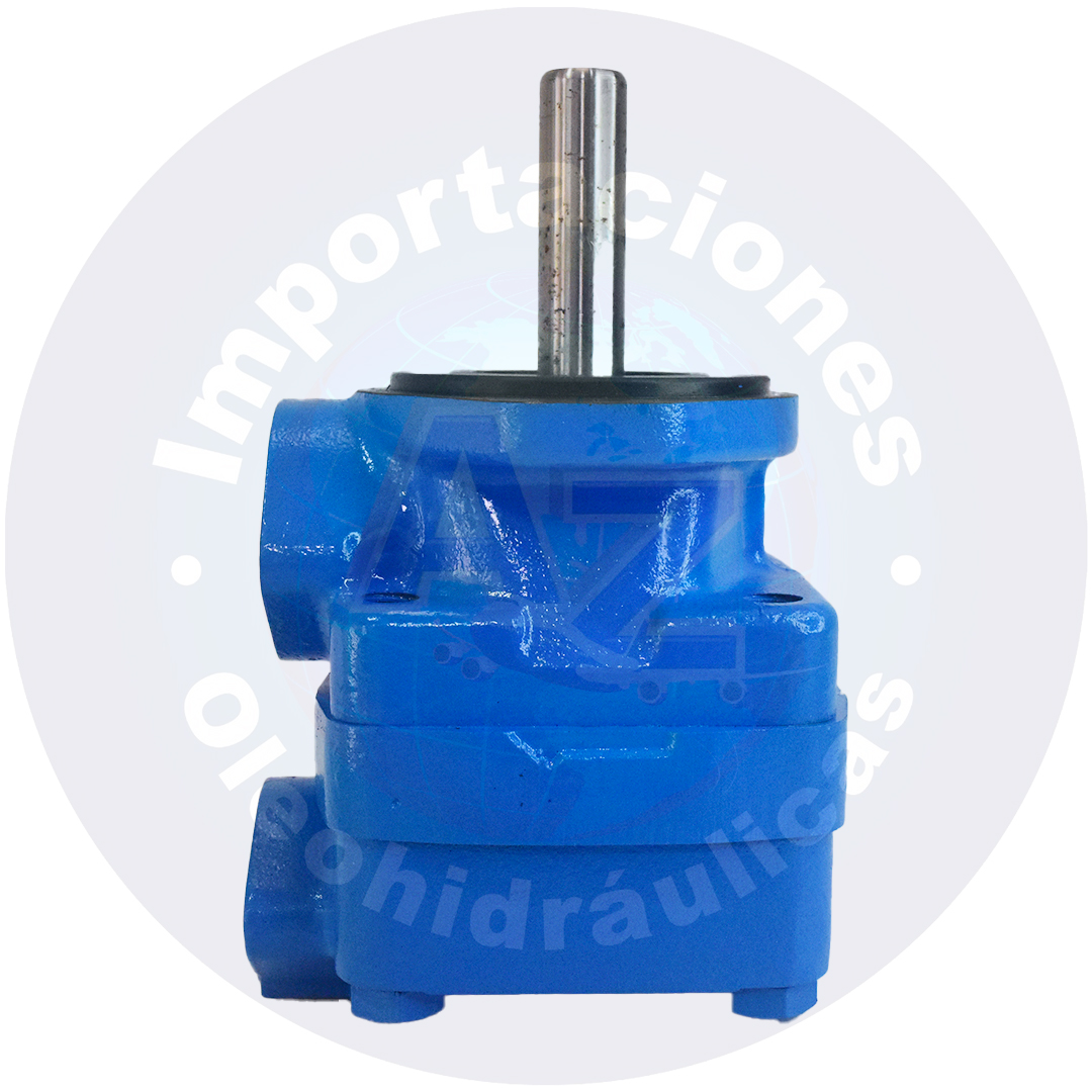 BOMBA 9GPM EJE RECTO DE 3/4 SUC 1 1/4"NPT DESC DE 3/4" REF: V20-1P-9P-1 COD:0000065 - Imagen 2