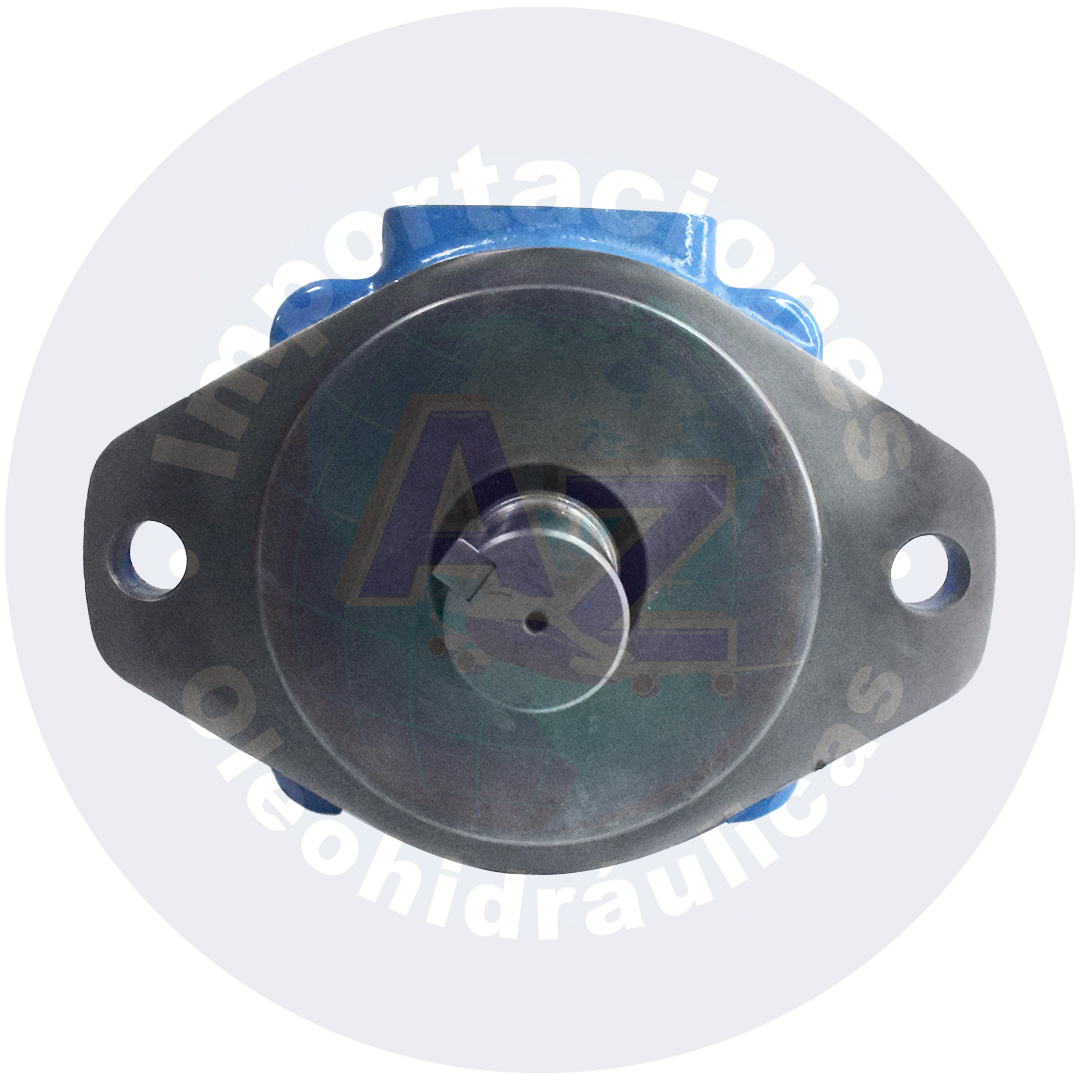 BOMBA 30 GPM SUCCION 2" DESCARGA 1 1/4'' EJE 1 1/4'' LISO REF: 35VQ30A1CR COD:0000079 - Imagen 4